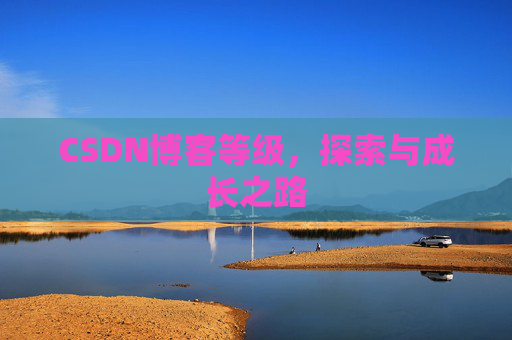 CSDN博客等级，探索与成长之路